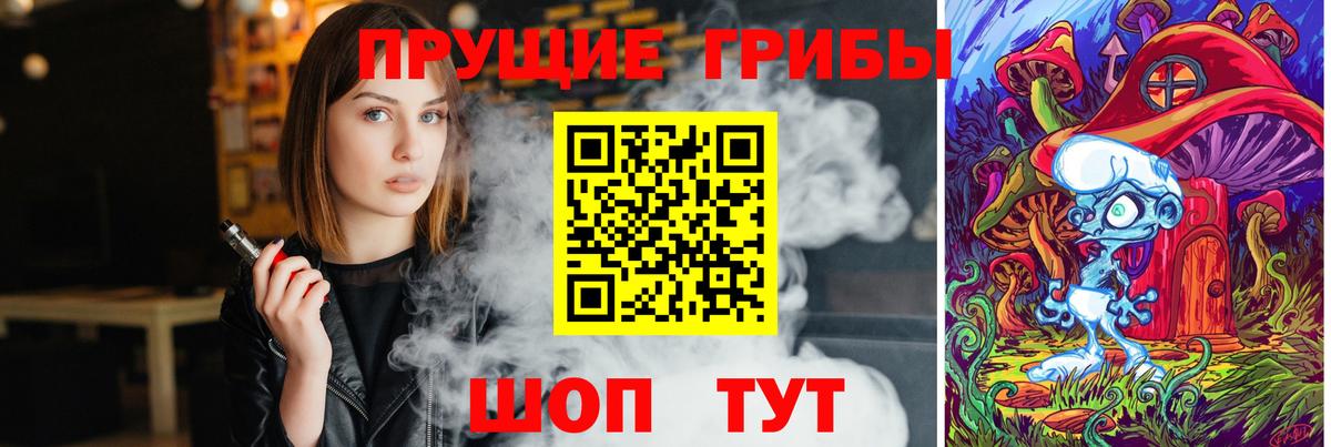 Псилоцибиновые грибы Psilocybe Мценск